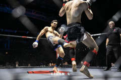 Wilkes MMA in competition