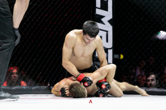 Wilkes MMA in competition