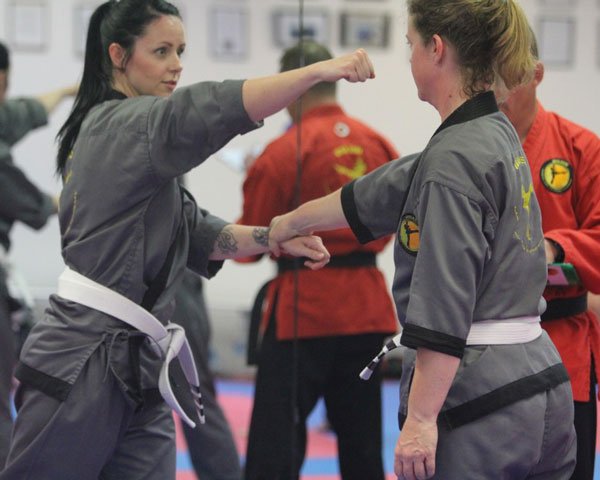 Adults Martial Arts